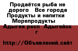 Продаётся рыба не дорого - Все города Продукты и напитки » Морепродукты   . Адыгея респ.,Адыгейск г.